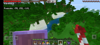 Screenshot_20210608-194001_Minecraft.jpg
