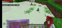 Screenshot_20210608-194008_Minecraft.jpg