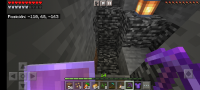 Screenshot_20210608-194141_Minecraft.jpg