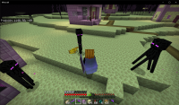 Minecraft 08_06_2021 11_53_33 p. m..png