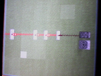 IMG_20210609_073713.jpg
