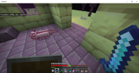 Axolotl End Bug Report.png
