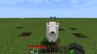 Minecraft 6_11_2021 5_19_35 PM.png