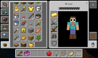 Screenshot_۲۰۲۱۰۶۱۳-۲۱۰۶۴۹_Minecraft.jpg