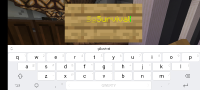 Screenshot_2021-06-10-23-01-48-475_com.mojang.minecraftpe.jpg