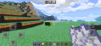 Screenshot_20210613-220030_Minecraft.jpg