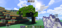 Screenshot_20210613-220041_Minecraft.jpg