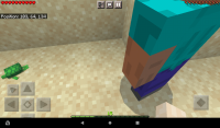 Turtle Glitch.png