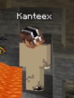 mc bug 3-1.png