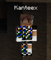 mc bug 2-2.png