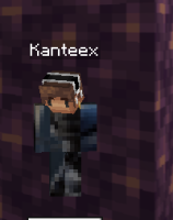 mc bug 1.png