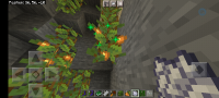 Screenshot_20210616-135507_Minecraft.jpg