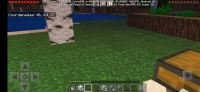 Screenshot_20210617-011509_Minecraft.jpg