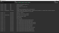 Starting Minecraft with Nvidia driver enabled.PNG
