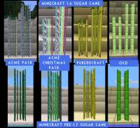 Sugar Cane-Presentation.png