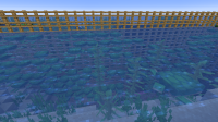 turtles.png