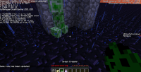 bug 2.png