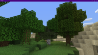 Minecraft 7_6_2021 5_49_54 PM.png