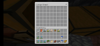 Screenshot_20210706-182033_Minecraft.jpg