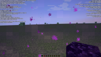 Overworld portal made after stepping back through.png