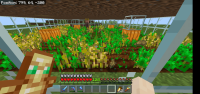 Screenshot_20210707_191618.jpg