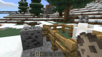 Minecraft 7_11_2021 3_47_26 PM.png
