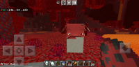 Screenshot_20210710-114331_Minecraft.jpg