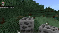 Minecraft 7_13_2021 5_34_36 PM.png
