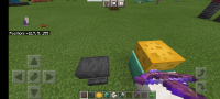 Screenshot_20210714-171924_Minecraft.jpg