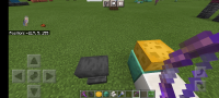 Screenshot_20210714-171933_Minecraft.jpg