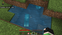 Minecraft Bug 1.png