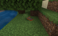 Screenshot (48).png