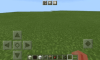 SkinDoesntChangeInGame.gif