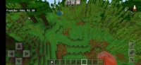Screenshot_20210718-113003_Minecraft-1.jpg