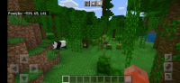Screenshot_20210718-112822_Minecraft.jpg