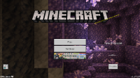 Minecraft Screenshot 2021.07.21 - 16.20.41.34.png