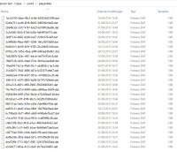 playerdata folder.png