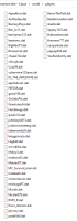 players folder.png