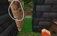 Screenshot_20210722_223156.jpg