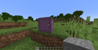 Shulker box bug2.png