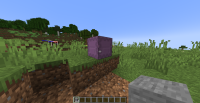 Shulker box bug.png
