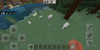Screenshot_20210807_121211_com.mojang.minecraftpe.jpg