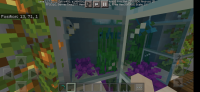 Screenshot_2021-08-10-12-41-19-051_com.mojang.minecraftpe.jpg