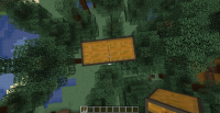 Chest bug2.png
