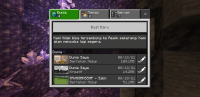 Screenshot_20210812-204335_Minecraft.jpg
