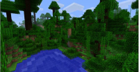 minecraft1-2junglebiome.jpg