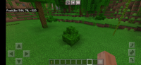 Screenshot_20210815-083226_Minecraft.jpg