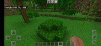 Screenshot_20210815-083356_Minecraft.jpg