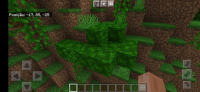 Screenshot_20210815-083736_Minecraft.jpg