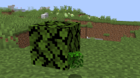 bugrep23.png